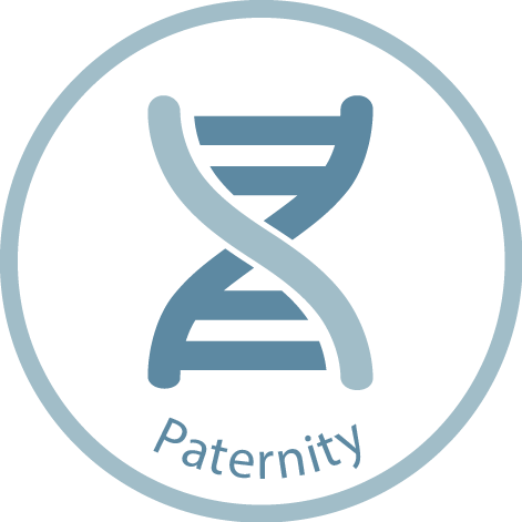 Paternity DNA Test