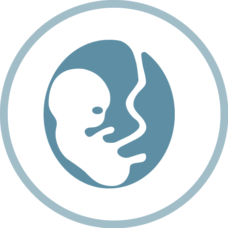 Prenatal DNA Test